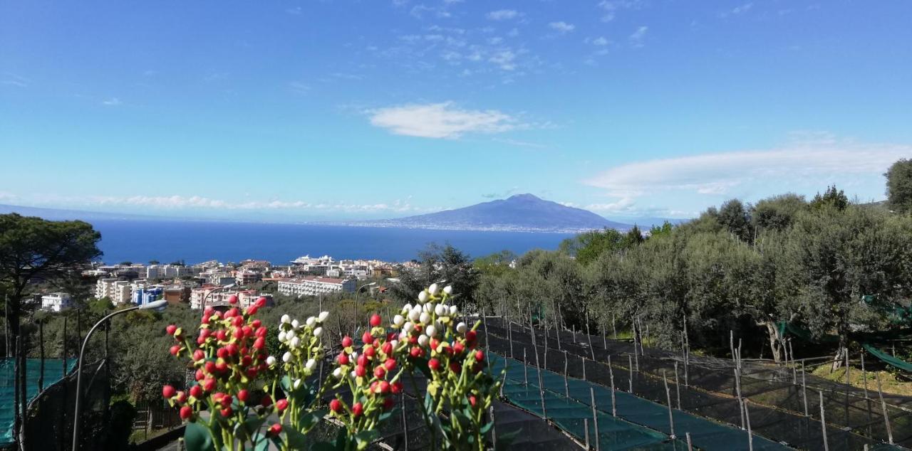 Sorrento Dolce Casa Exterior foto