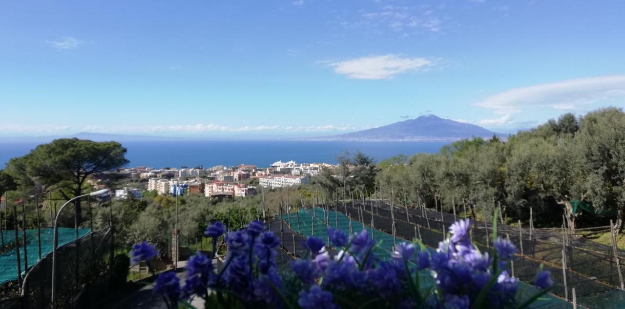 Sorrento Dolce Casa Exterior foto